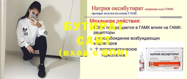 apvp Бородино