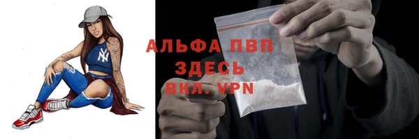 apvp Бородино