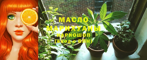 apvp Бородино