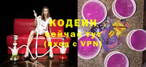 apvp Бородино