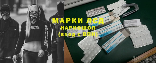 apvp Бородино