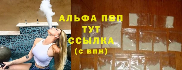 apvp Бородино