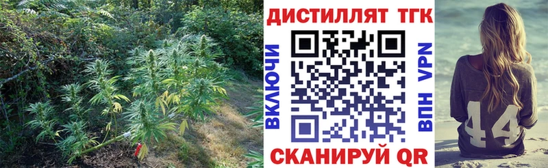 Купить где Лениногорск Дистиллят ТГК Wax